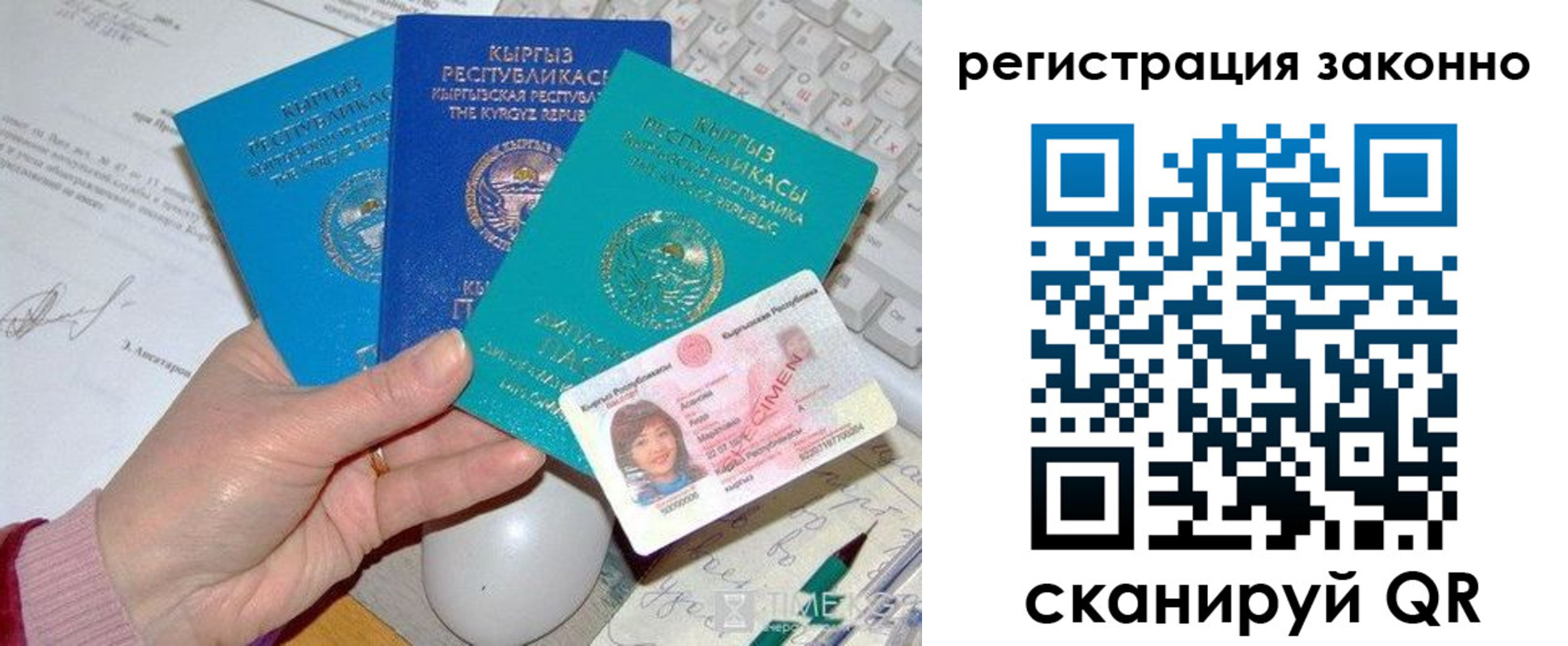 прописка для школы в Курске
